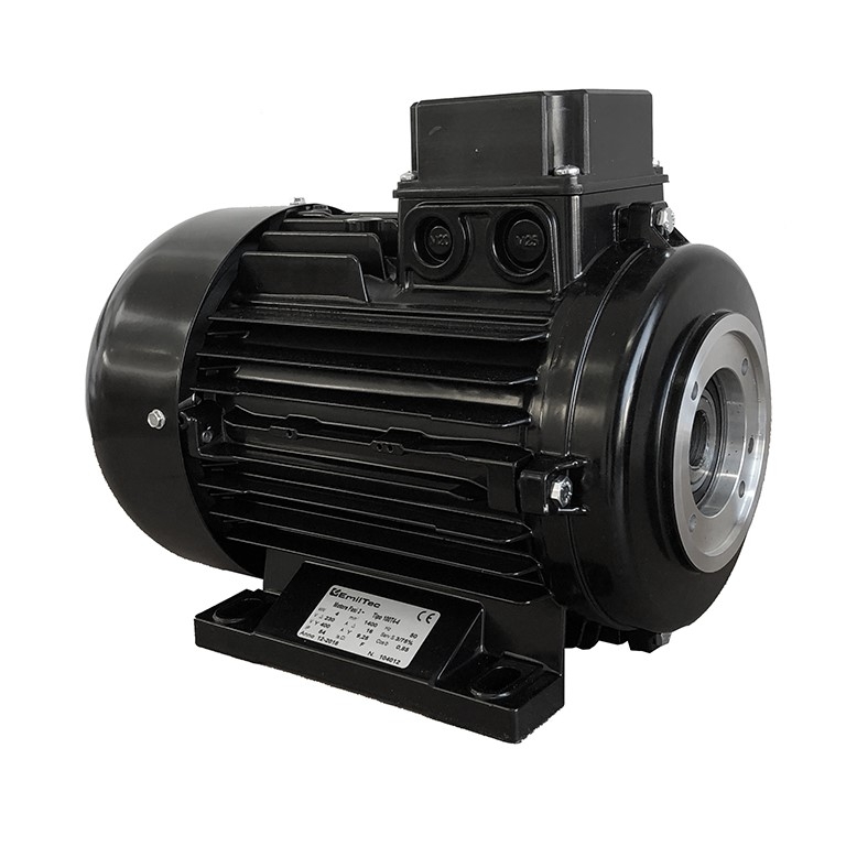 Hollow shaft electric motor